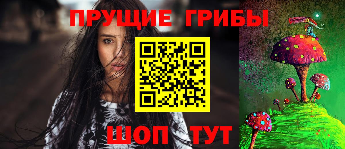 Псилоцибиновые грибы Psilocybe Воскресенск